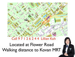 Flower Road (D19), Terrace #141039232